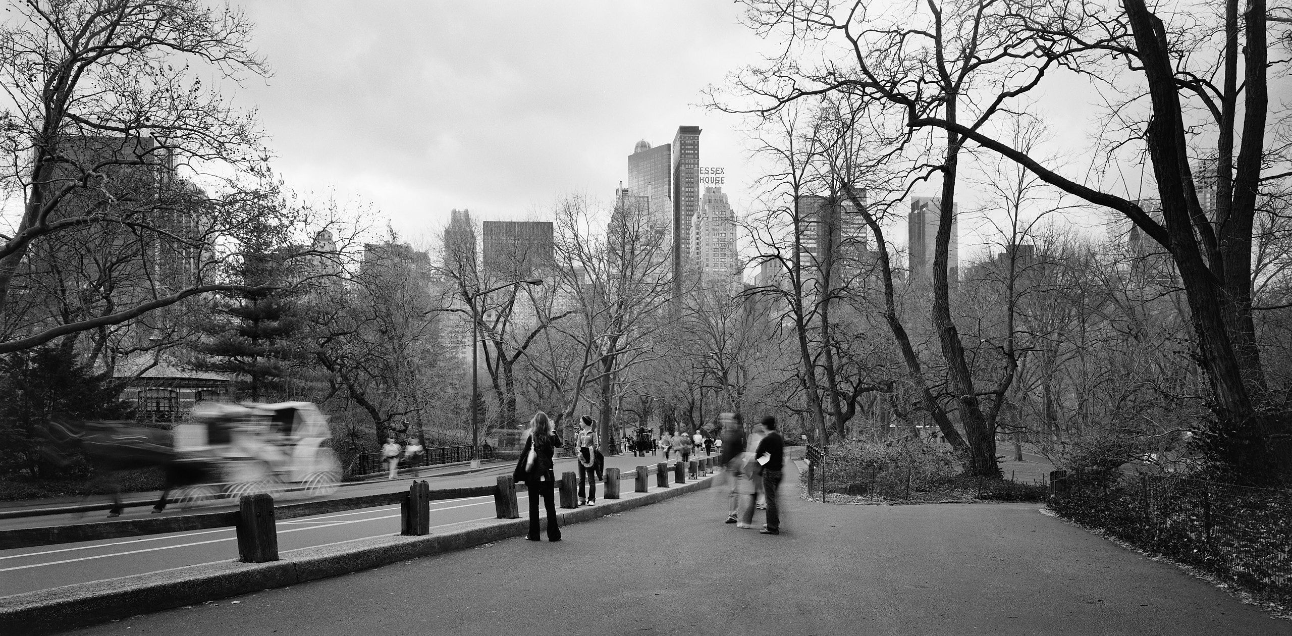 5982_0188_4429-1.jpg