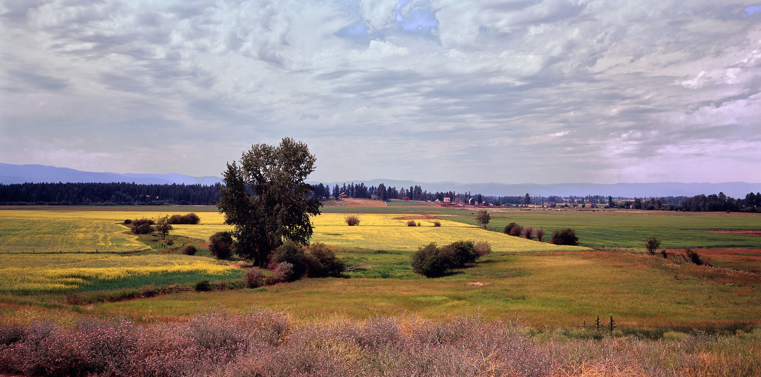 60090003_4832-3.jpg