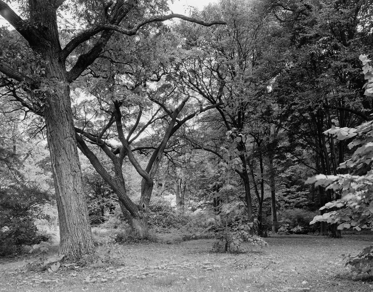 5982_0059_4885 1.jpg