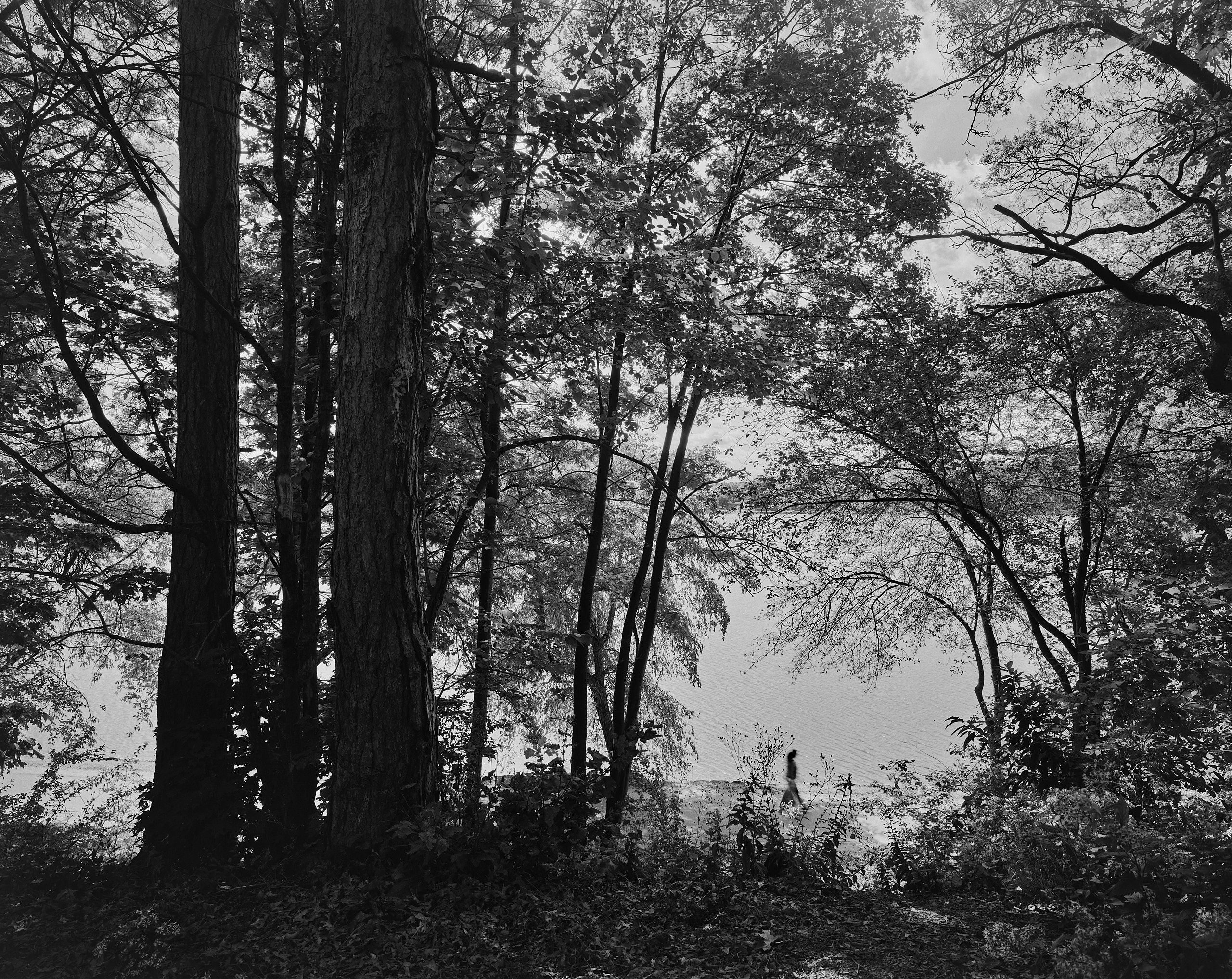 5982_0029_4876 1.jpg