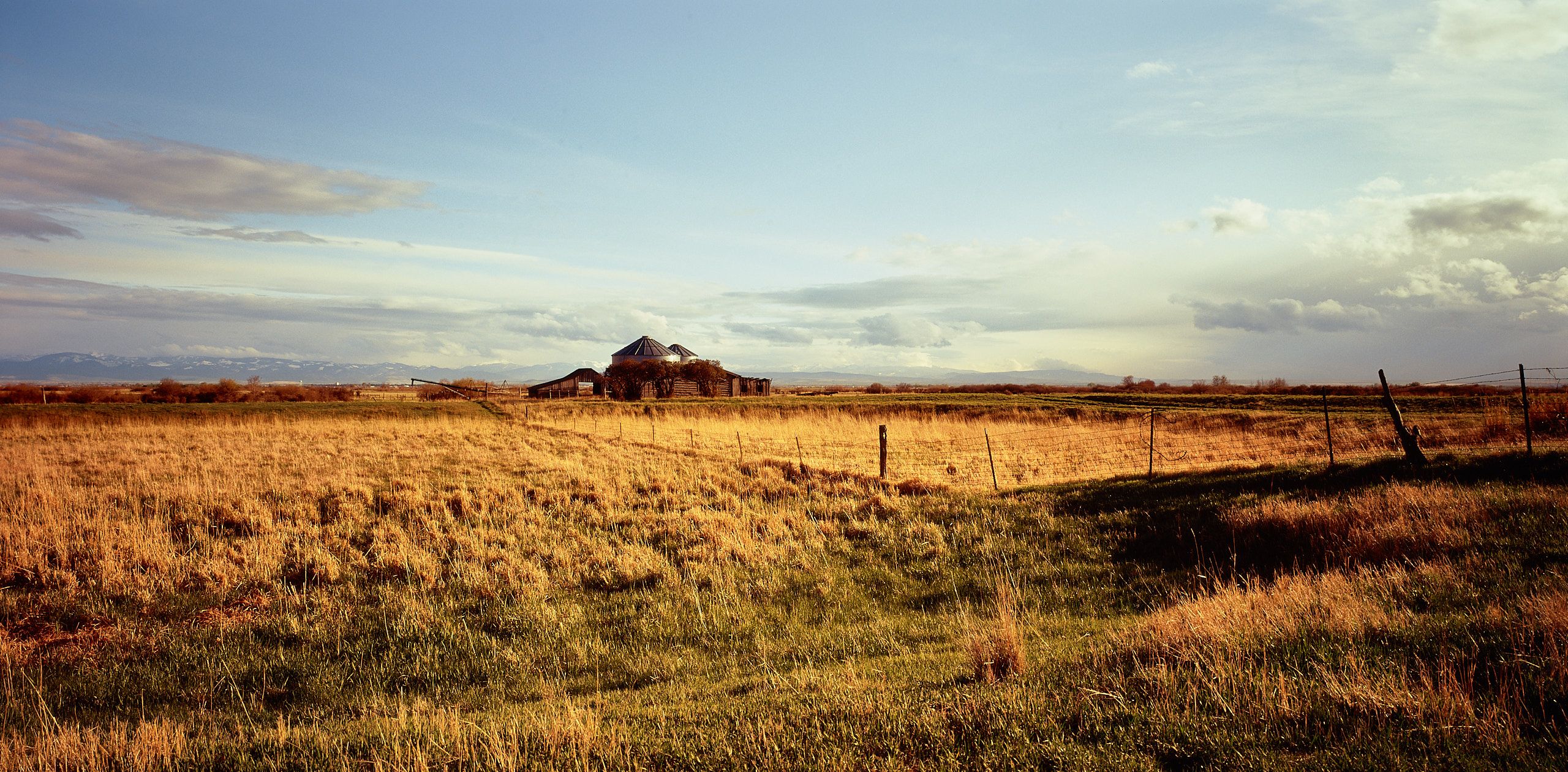 59260242_3566-4 1.jpg