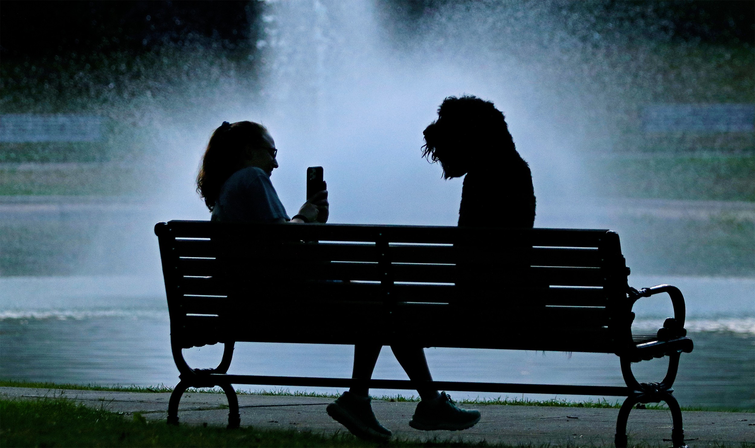 lbooks_WLD bernoulli dog TM 049.jpg