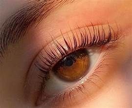 eye lash lift.jpg