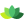 plant.png
