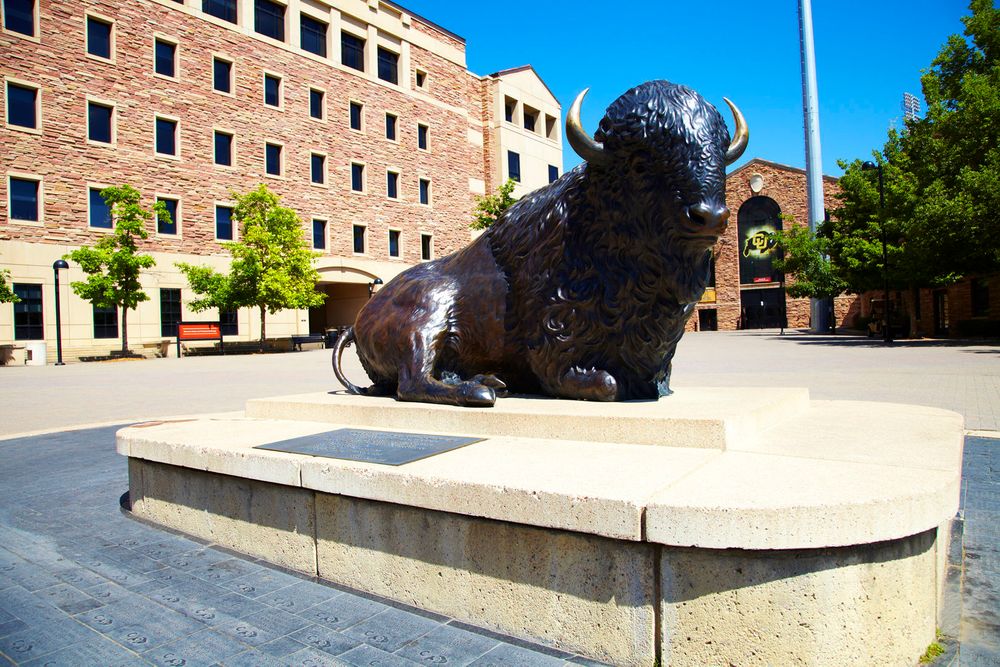 Ralphie, University of Colorado