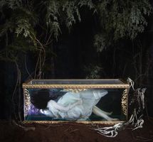 Snow Whites Long Sleep