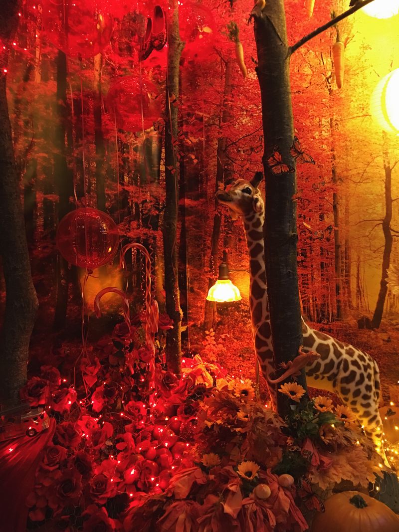 A Colorful Dream Exhibition Installation