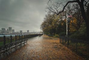 _X6A6183-Edit copy.jpg