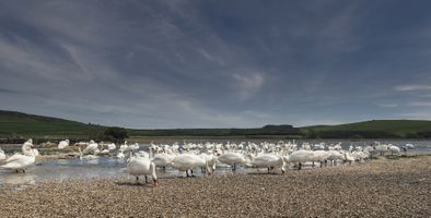 IMG_0700-Edit-Edit-Edit copy.jpg