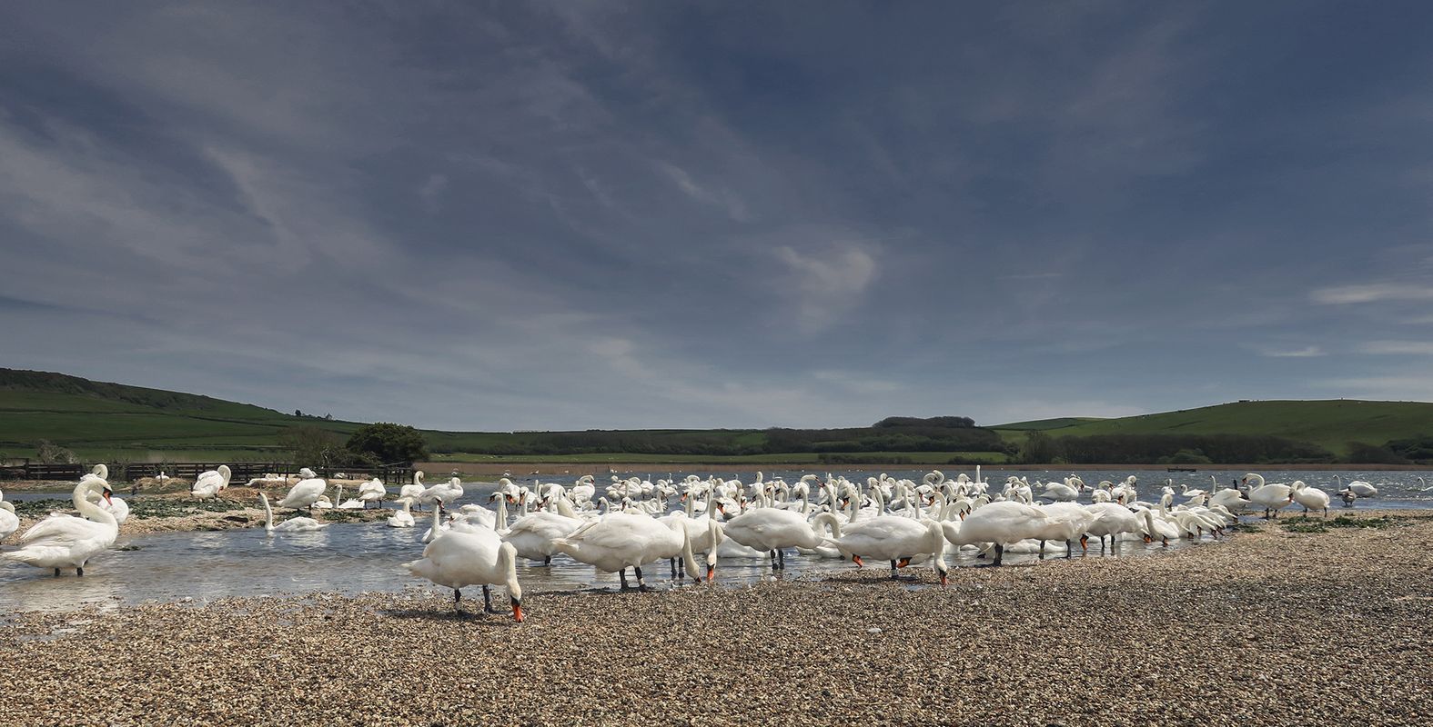 IMG_0700-Edit-Edit-Edit copy.jpg