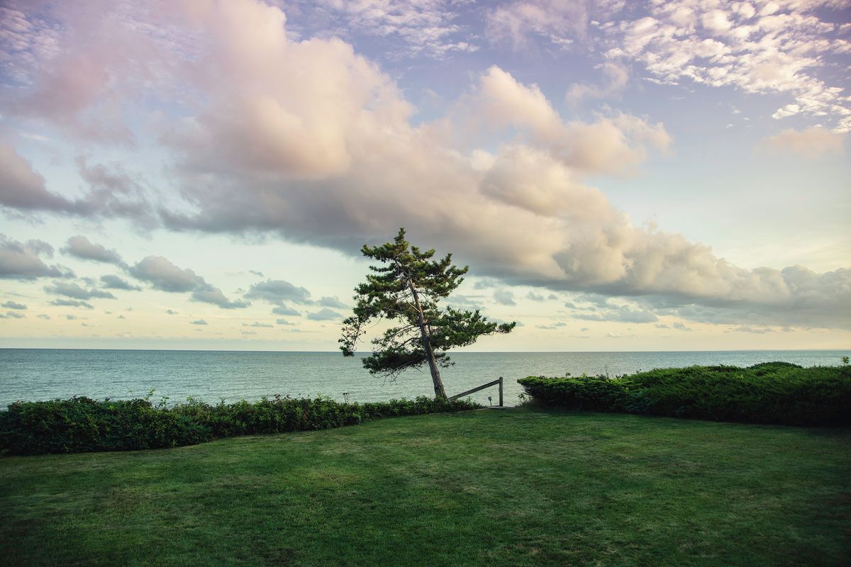 1C5A9300-Edit copy.jpg