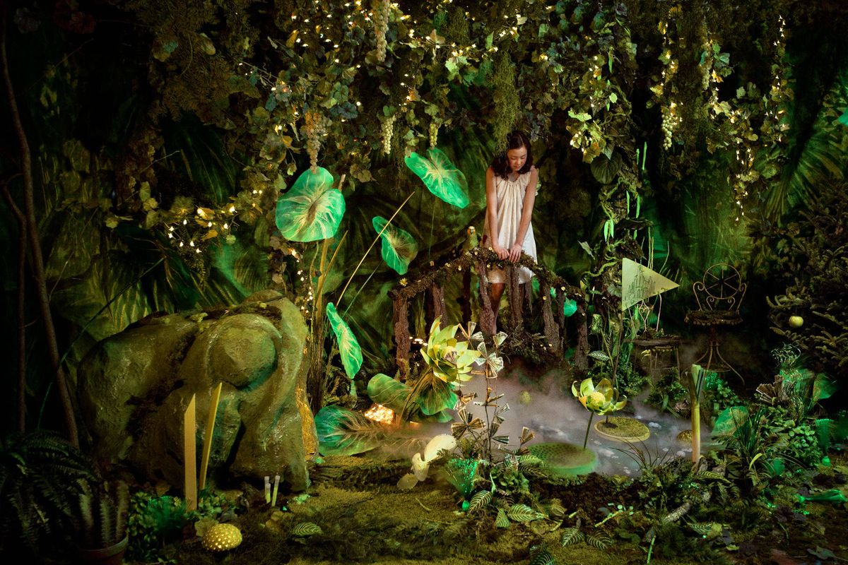 Life in the Lily pond