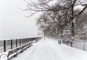 _X6A6861-Edit copy.jpg