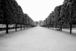 Horizon Lines, Paris