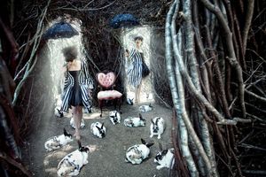 Tweedle dee and tweedle dumb