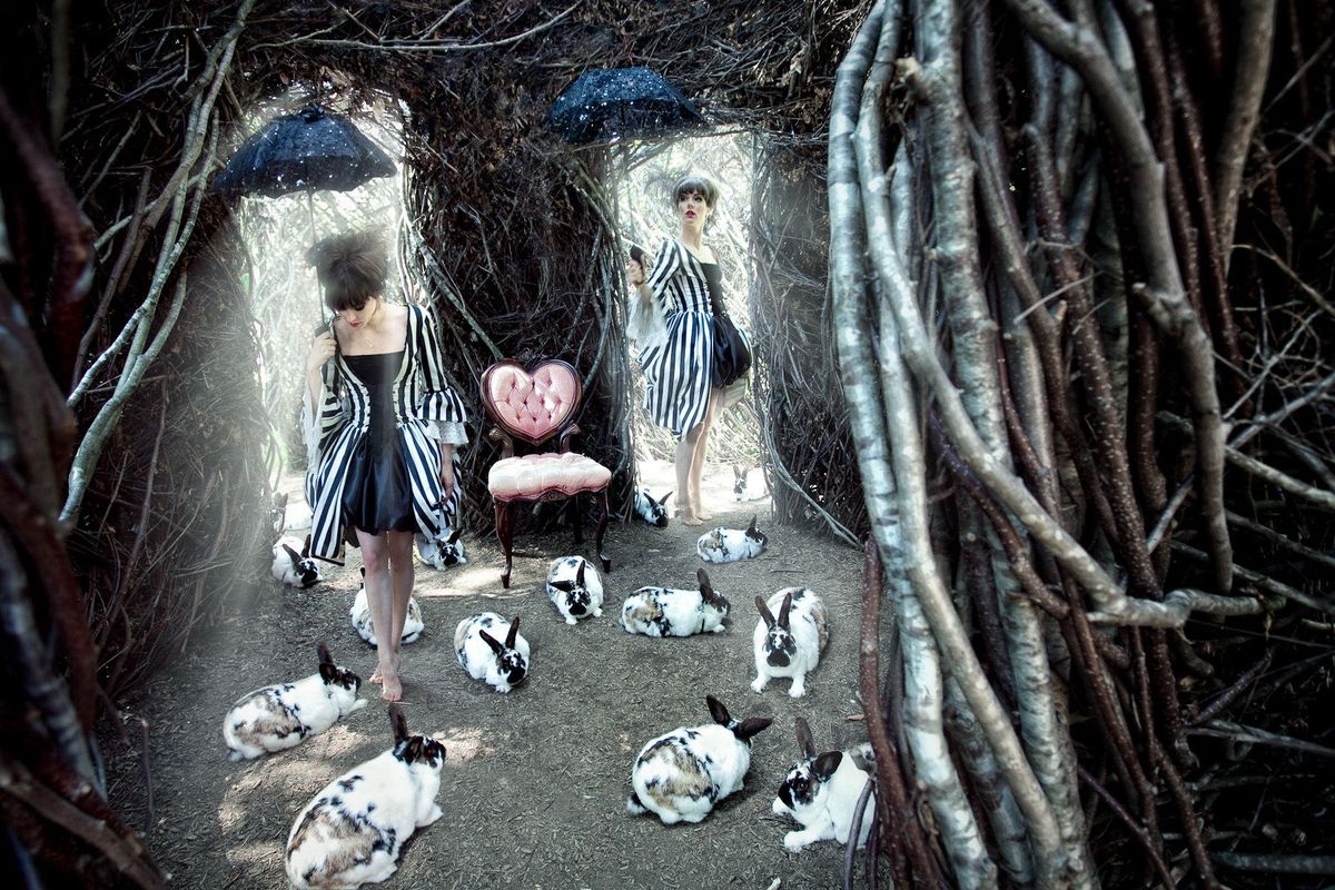 Tweedle dee and tweedle dumb