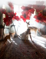 Magical Portrait of a young girl
