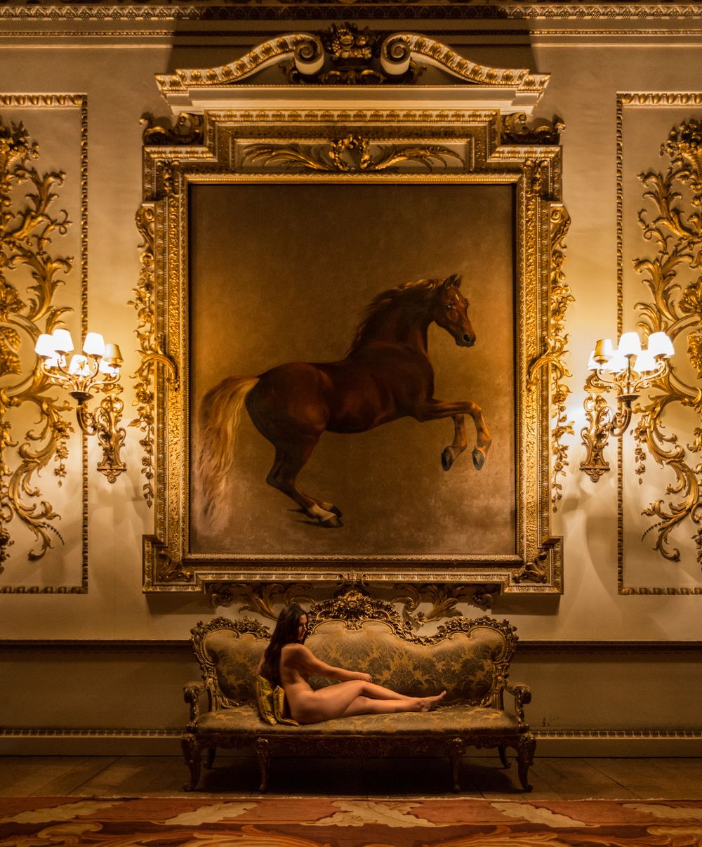 Wentworth Woodhouse Margot and the Whistle Jacket