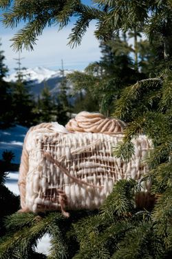 pine wool 