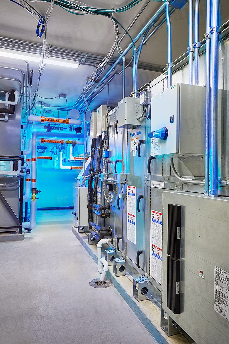 18533- 0128 F copy.jpg