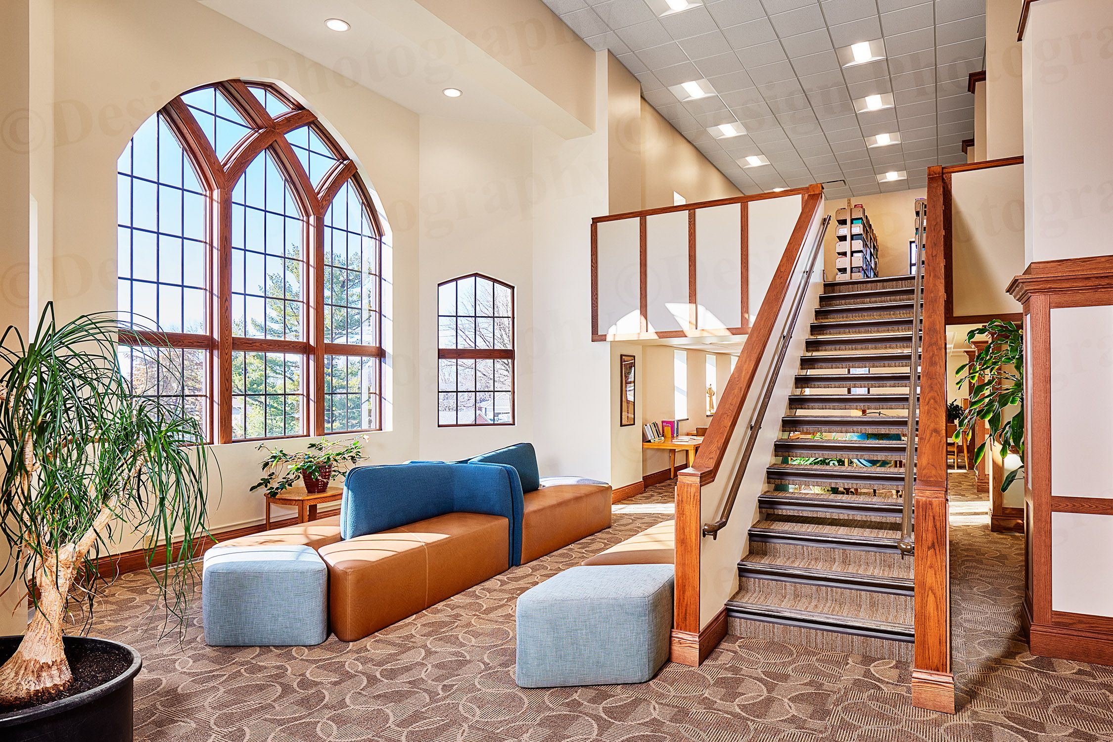 18533- 0115 F copy.jpg