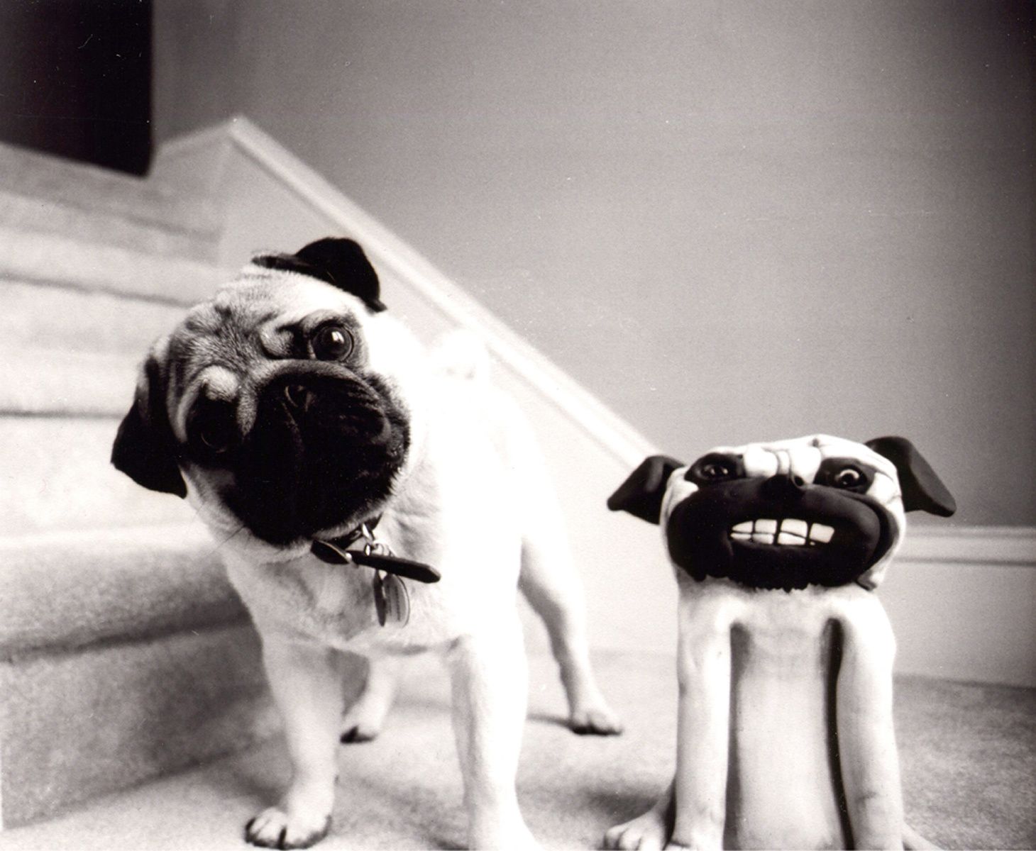 1pug_withpugstatue