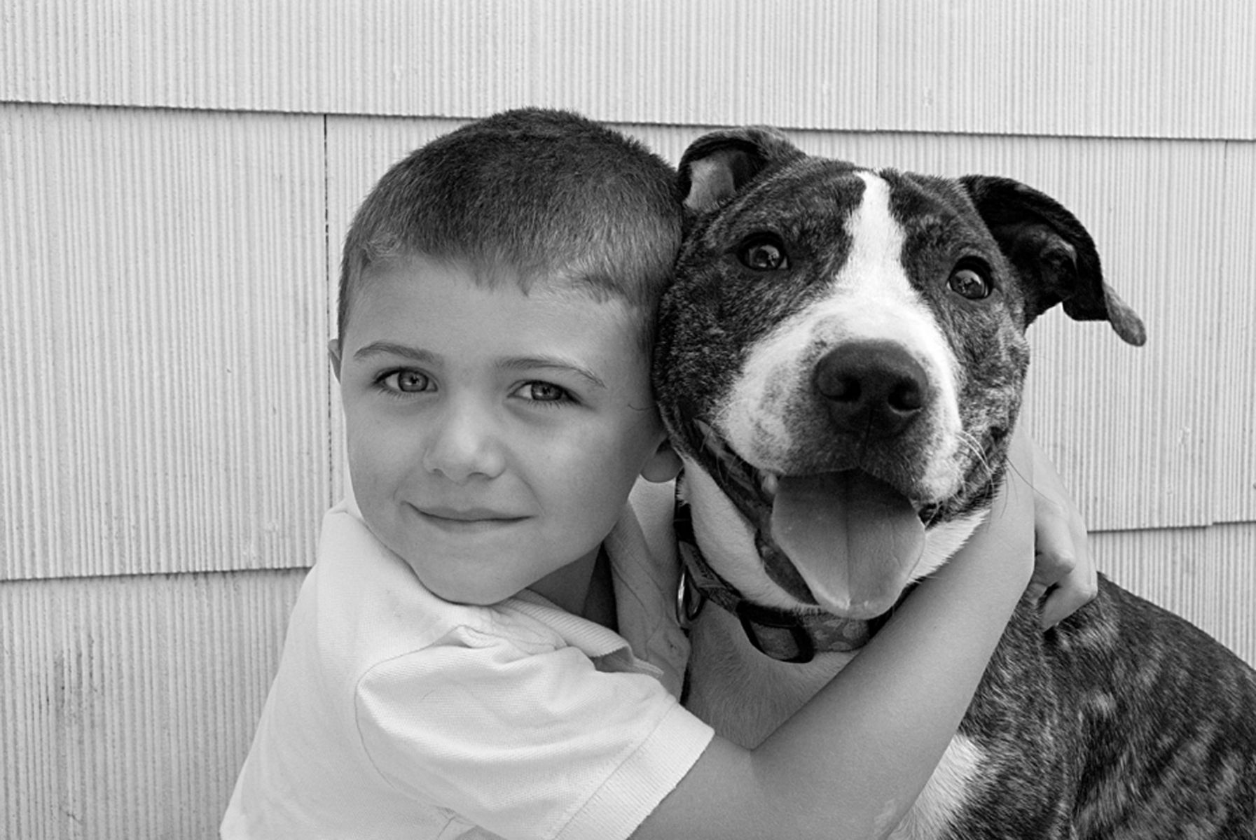 1boy_pitbull81_bw