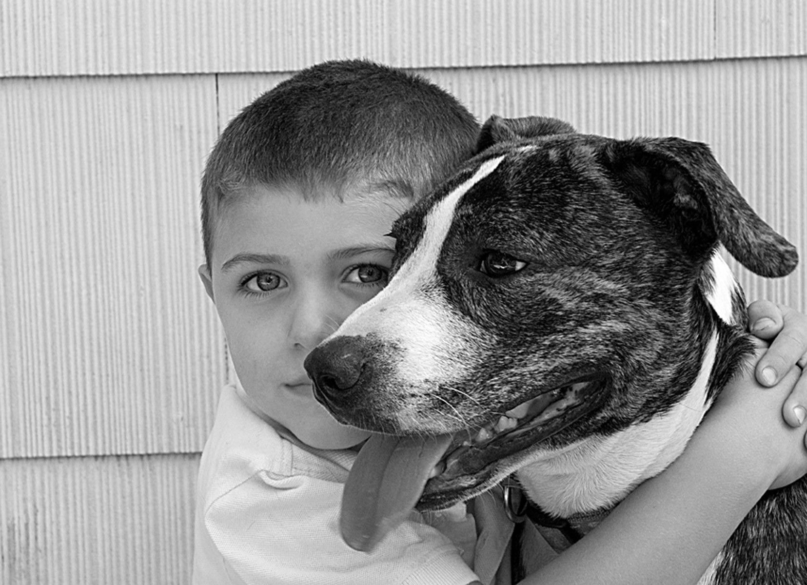 1boy_pitbull89_bw