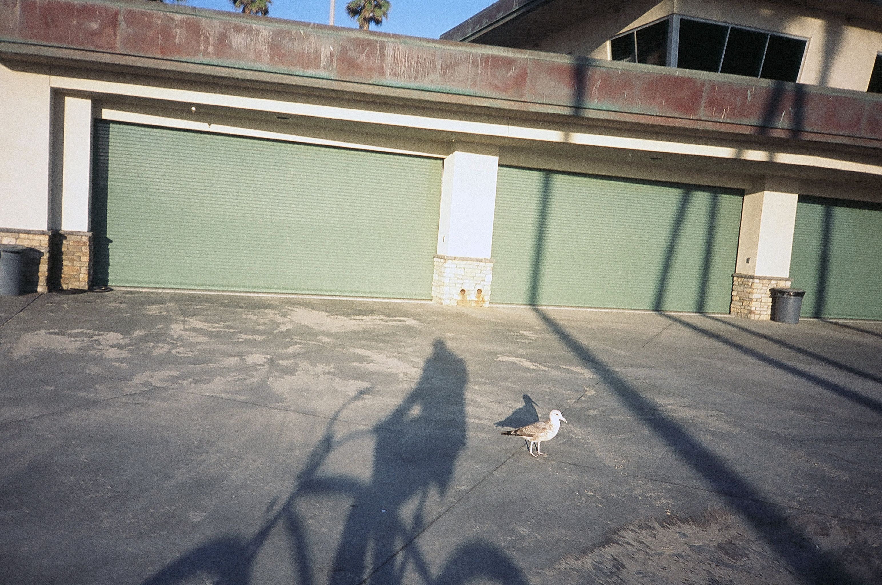 sekf portrait huntington beach 2009 Self Portrait
