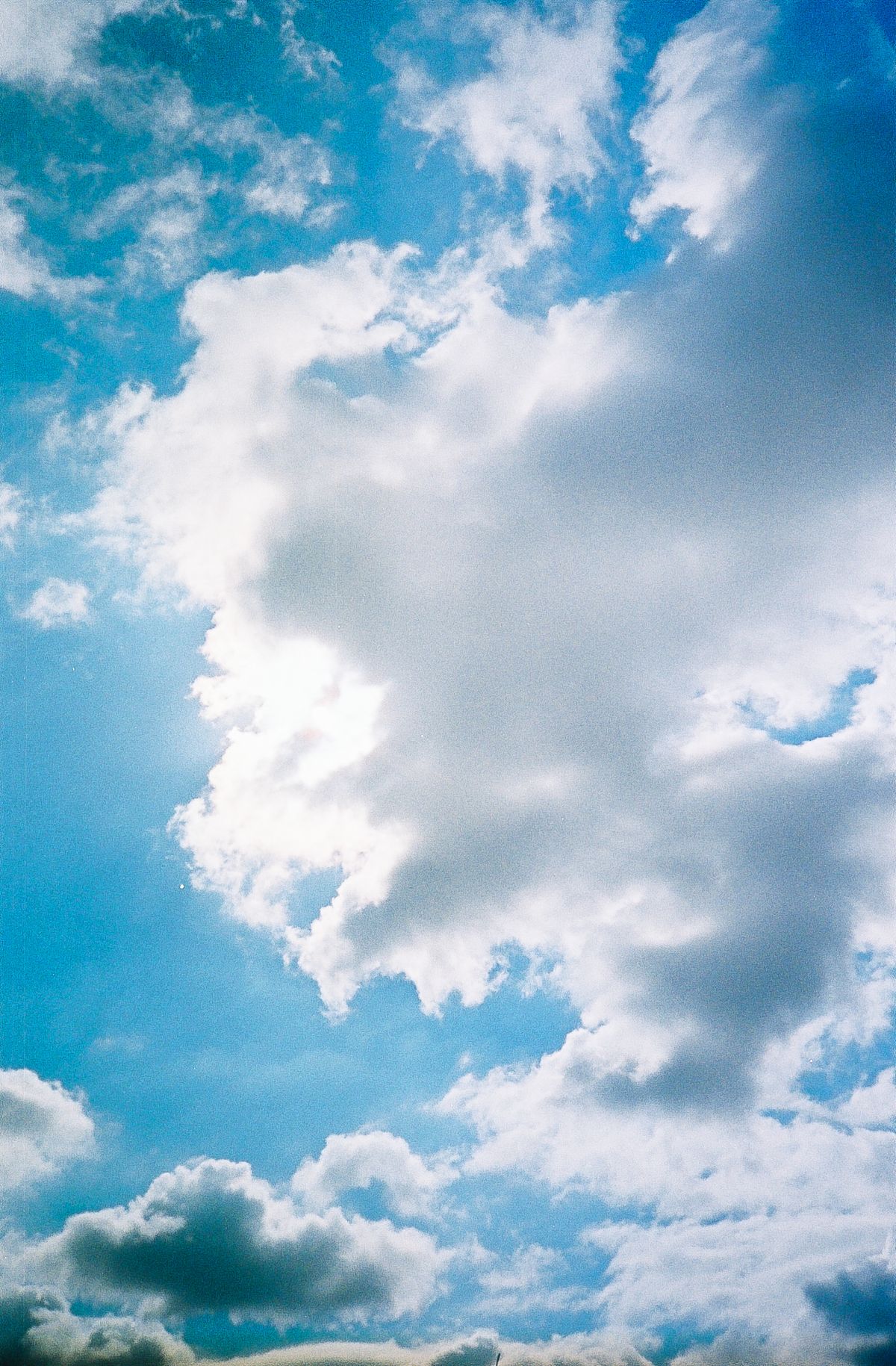 442000-r1-2a.jpg