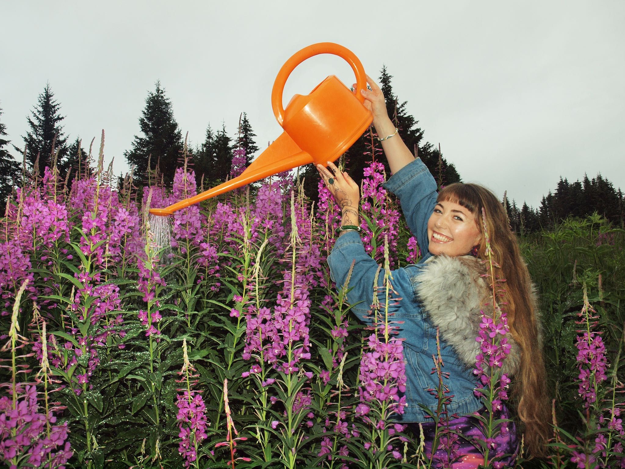 sirena & the epic fireweed