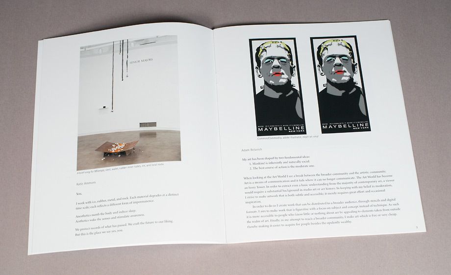 1seniors_cat_inside_3