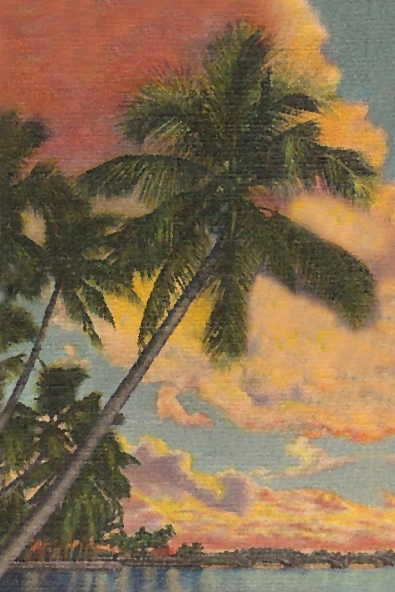 1sunsetpalmfinal_print