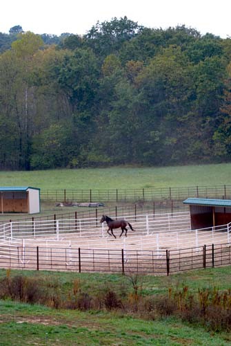 Longmeadow. Rescue Ranch
