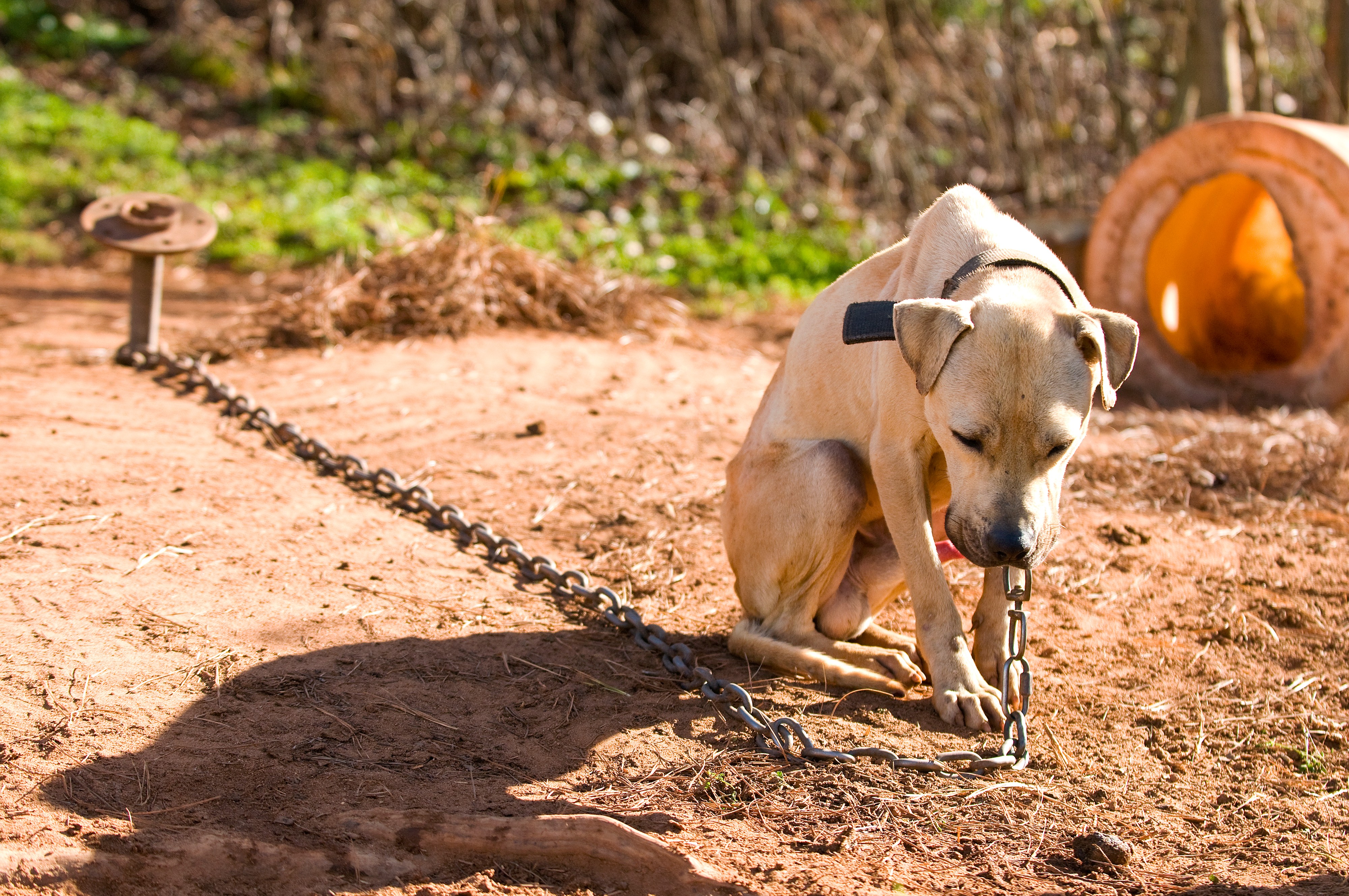 Get me outta here...