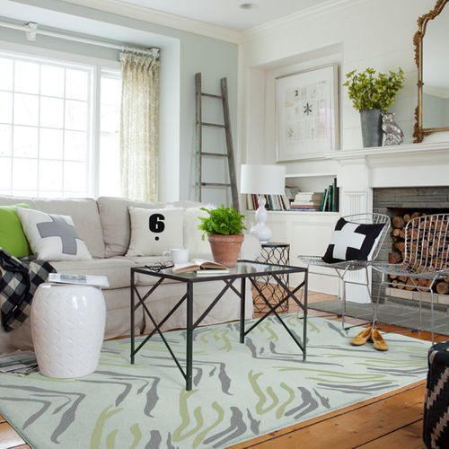 Zebra Pattern Lifestyle