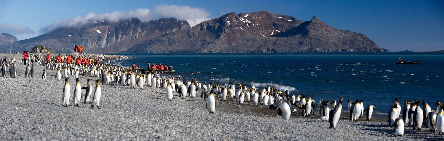 1penguins_bahia_pano
