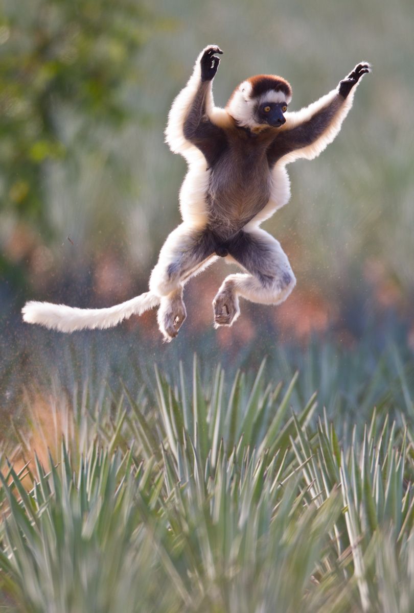 1leap6