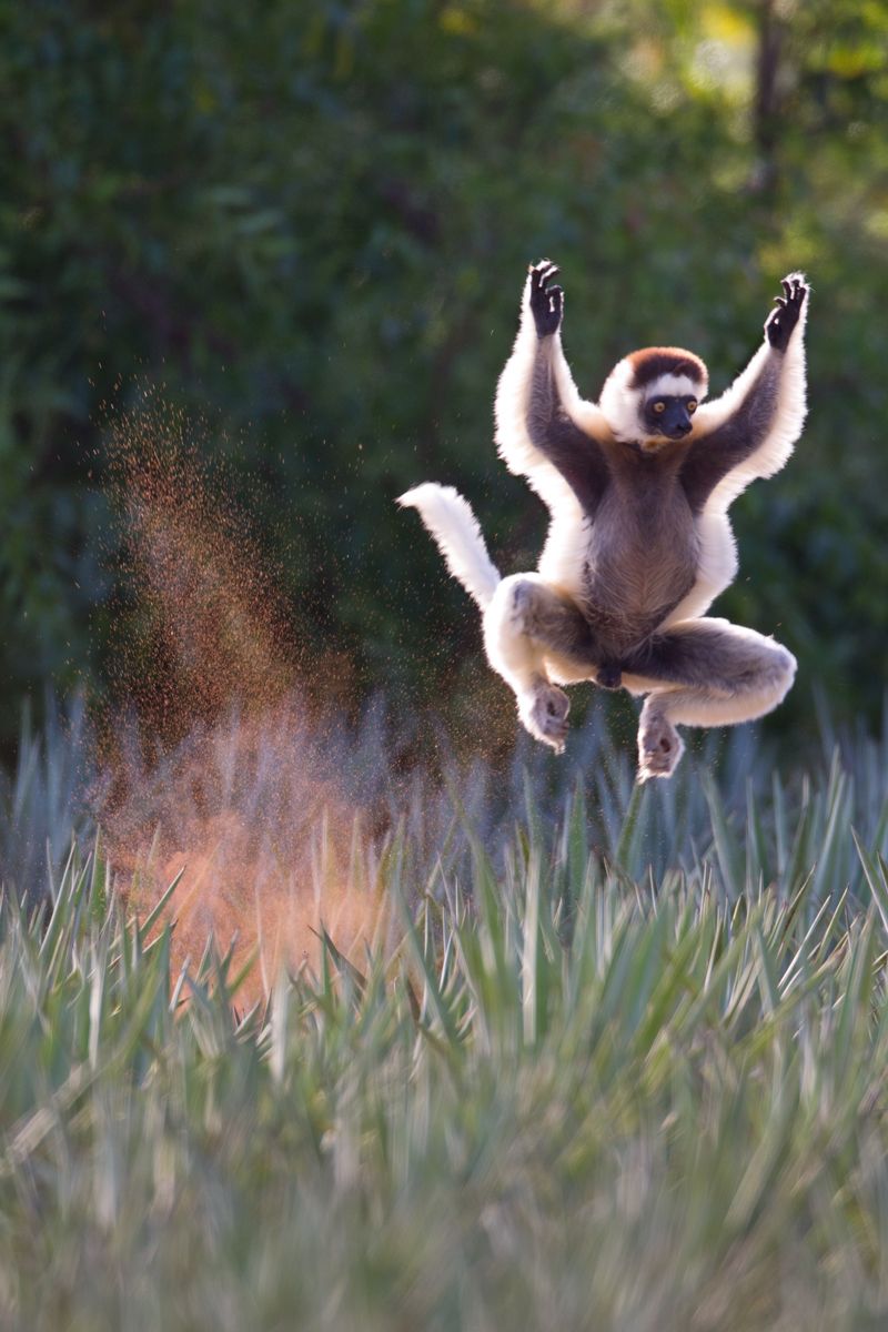 1leap3