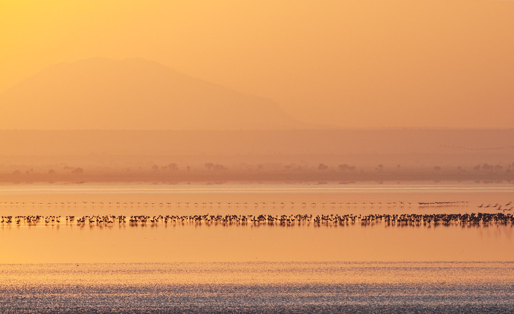 1lake__manyara_4