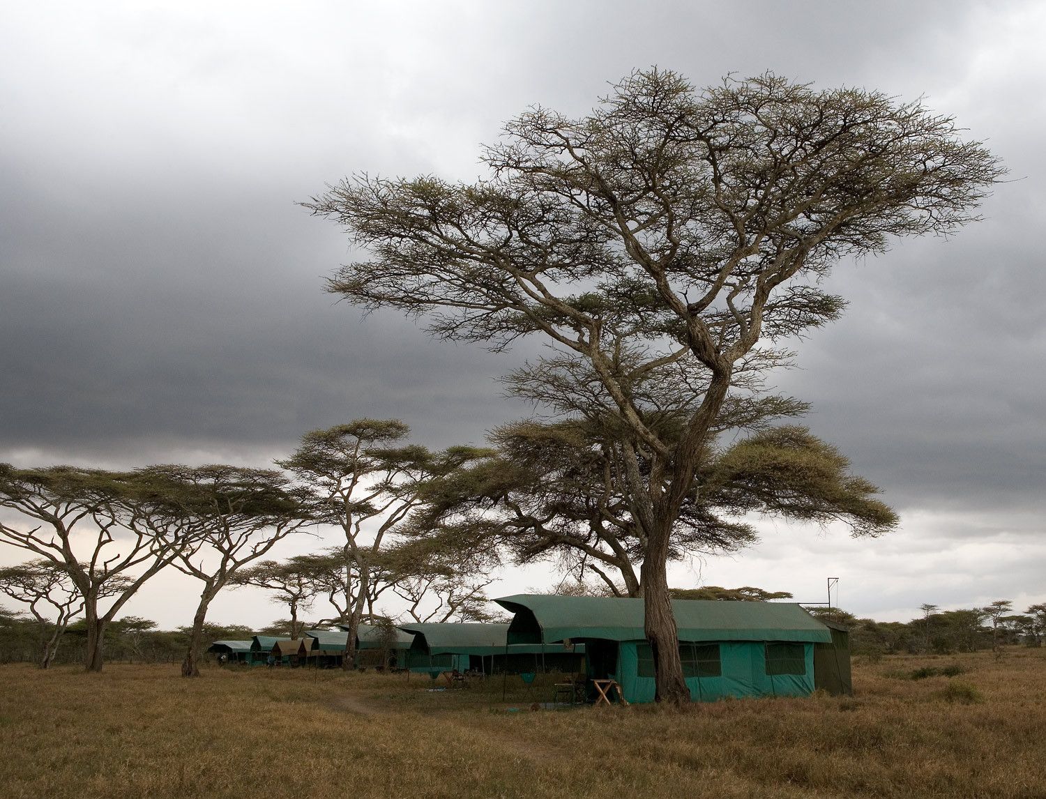 1storm_camp
