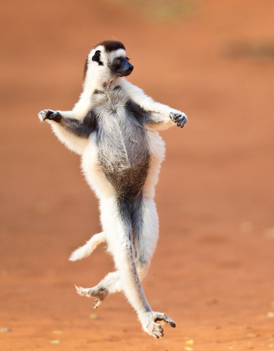 1dancing
