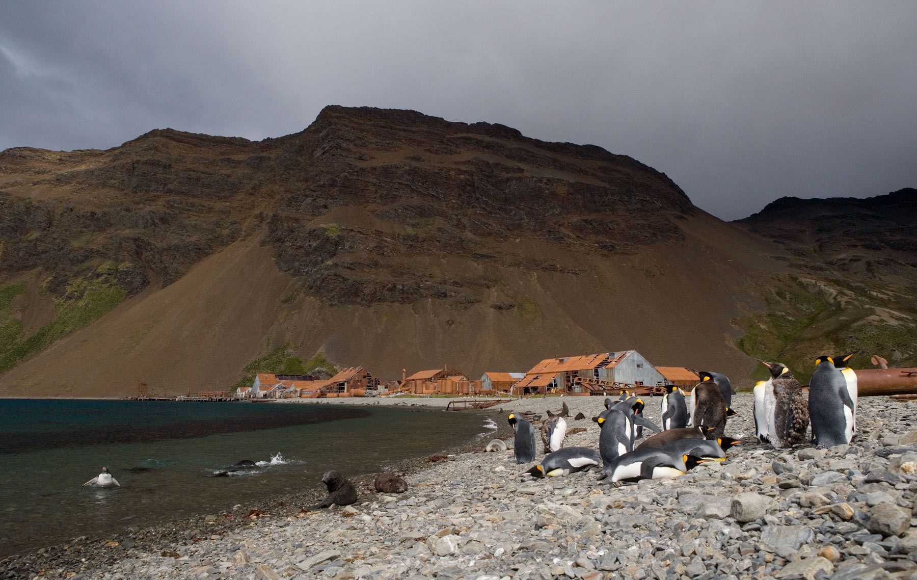 1stromness_harbour___whale_station