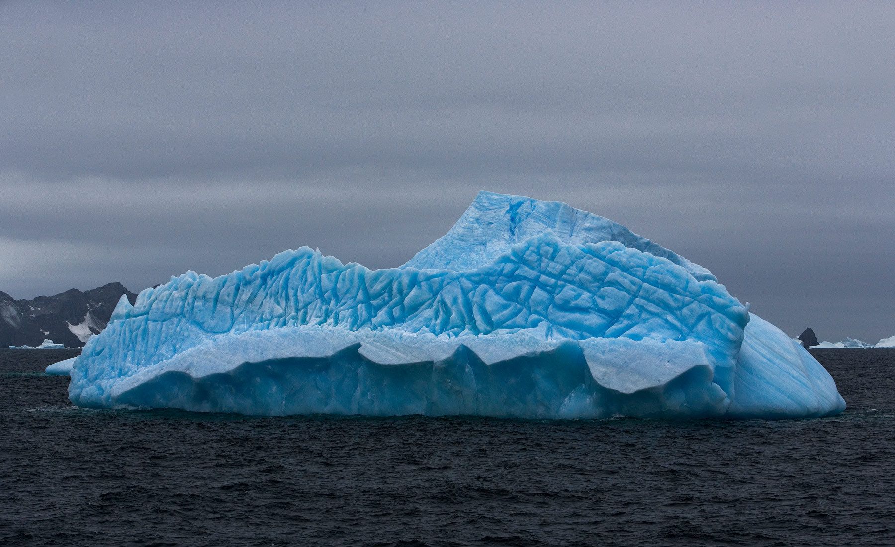 1iceberg