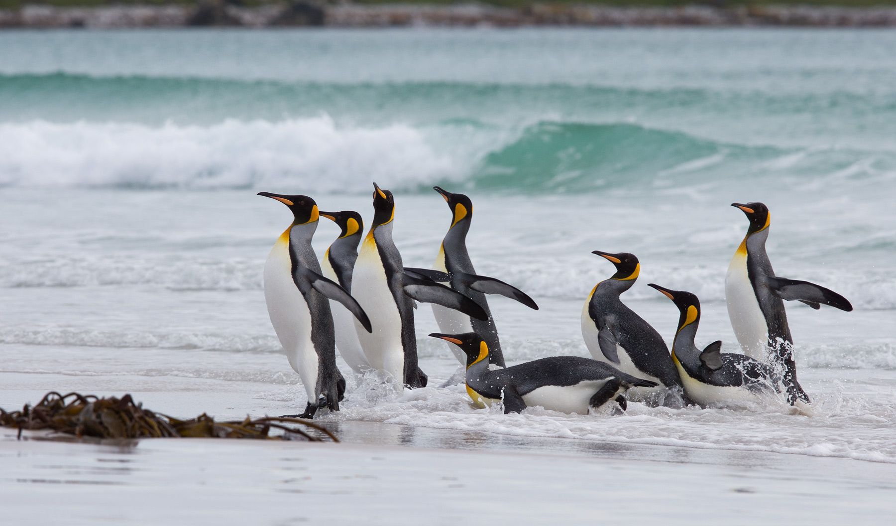 1coming_out_from_feeding