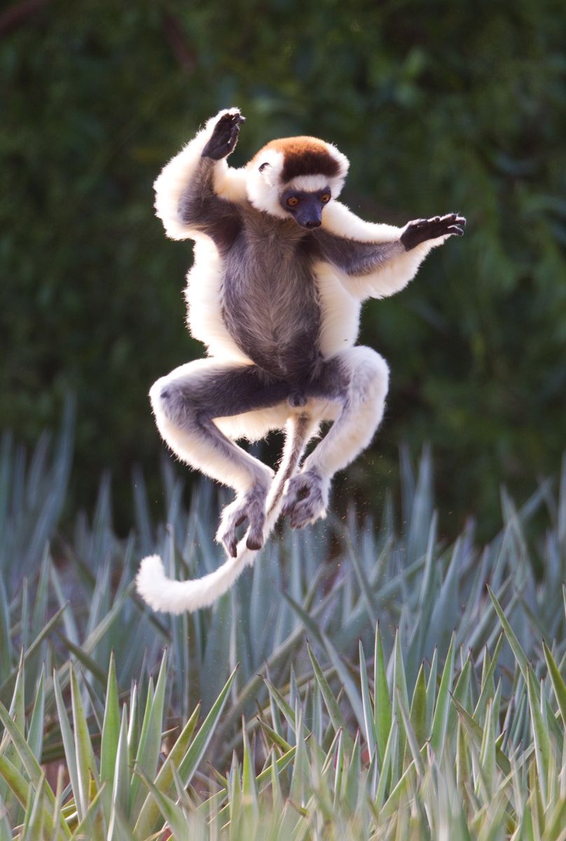 1leap2