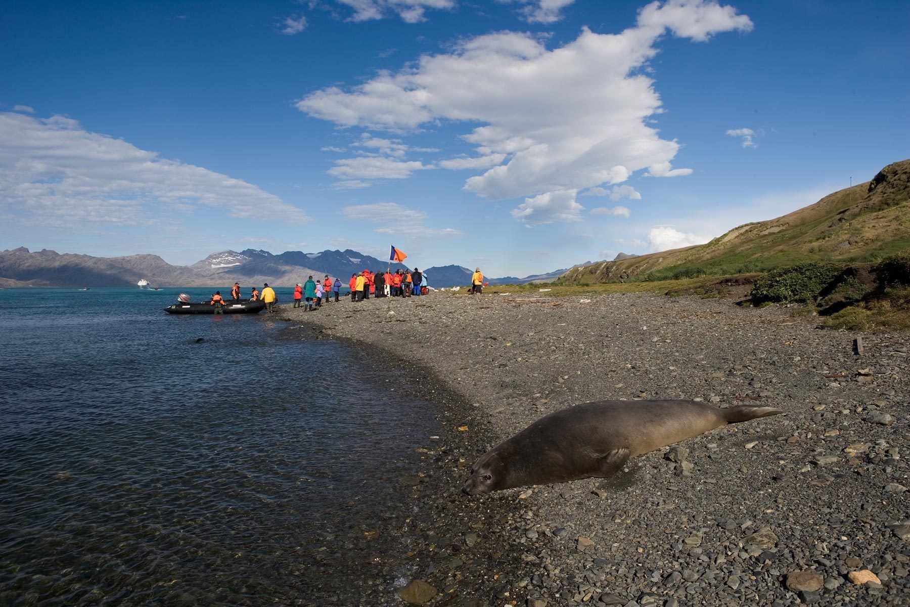 1there_goes_the_neiborhood