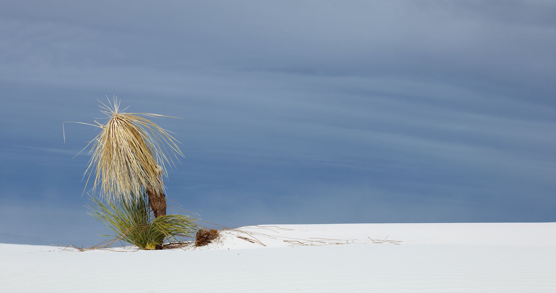 1white_sands