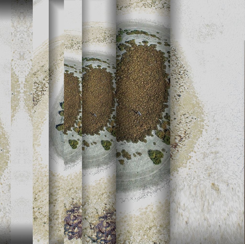 Elizabeth Lake Island