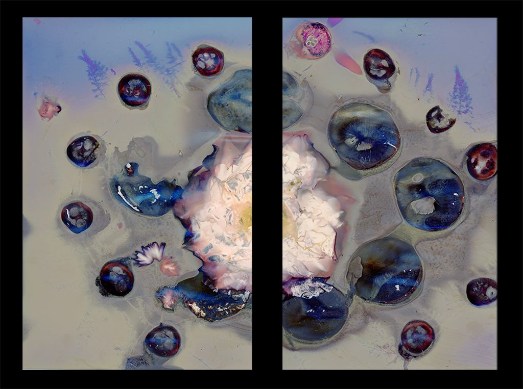 Berries, Interrupted